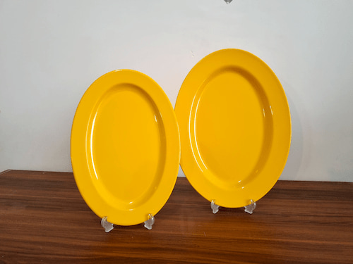 دیس بیضی با طراحی مینیمال و ظاهر شیک